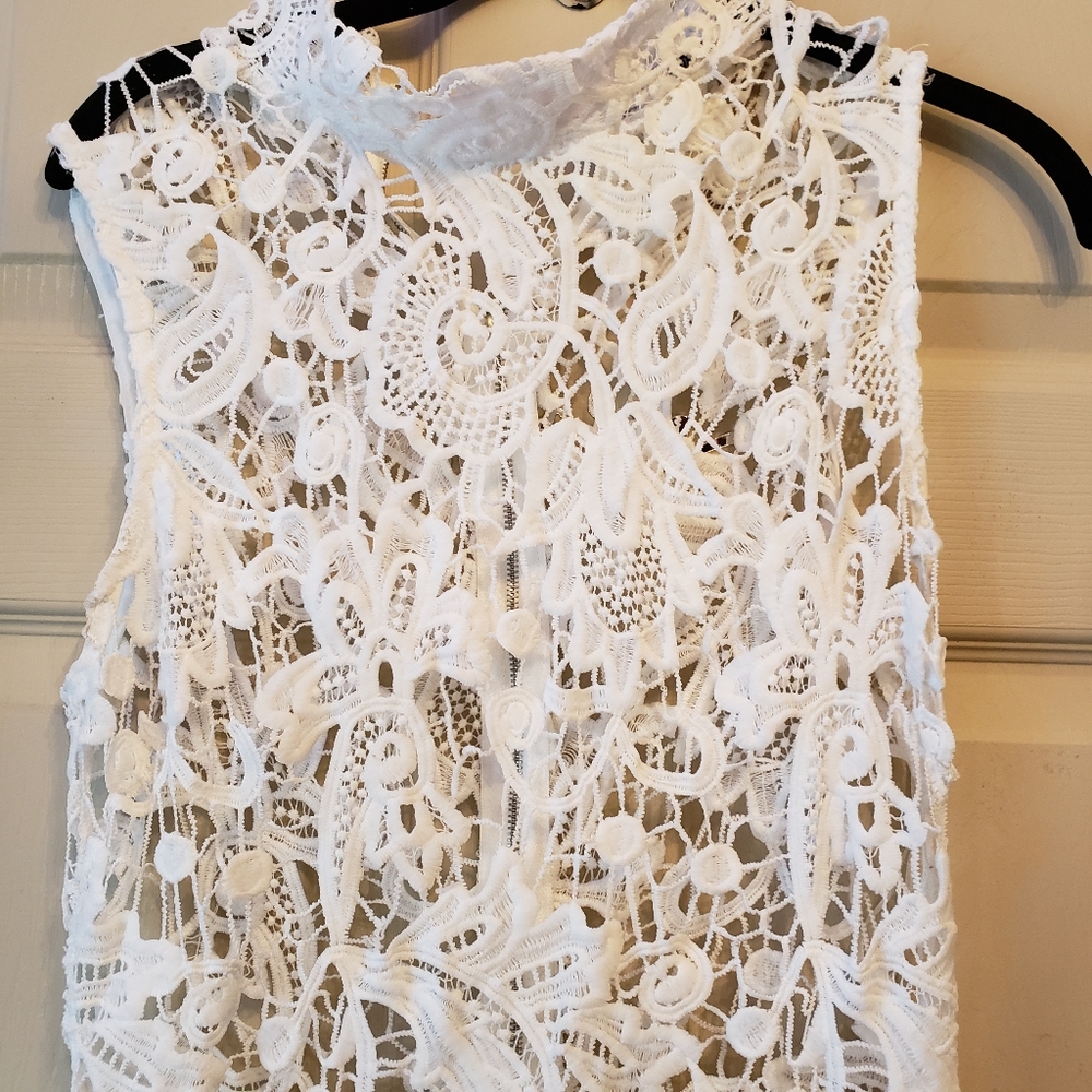 Fashion Nova Long Lace Dress - Picture 3 of 5